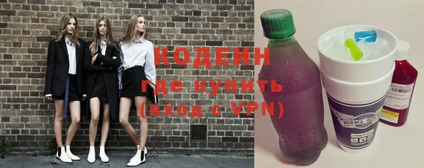 молекула духа Семёнов