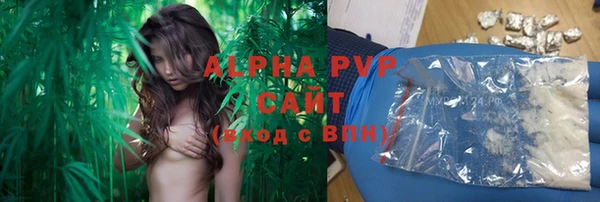 молекула духа Семёнов