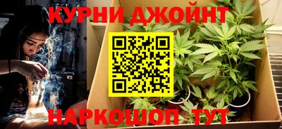 гашик Котовск