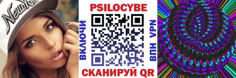 Псилоцибиновые грибы Psilocybe  купить наркотики сайты  Карасук 