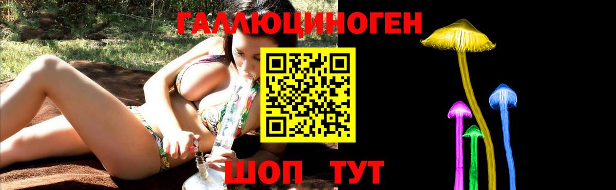 Галлюциногенные грибы Psilocybe Карасук